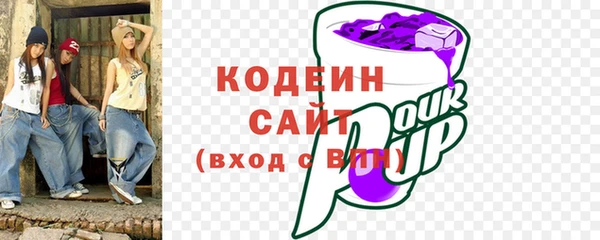 гидра Елабуга
