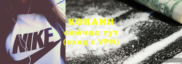 соль ск Ельня