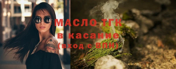 гидра Елабуга