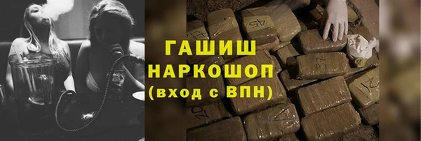соль ск Ельня
