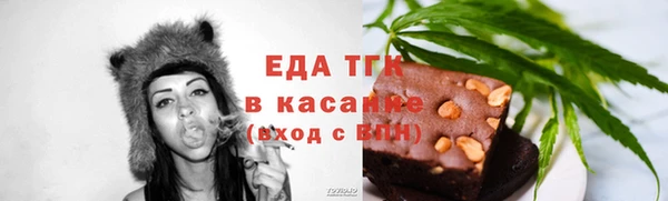 гидра Елабуга