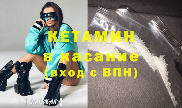 соль ск Ельня