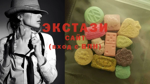 гидра Елабуга