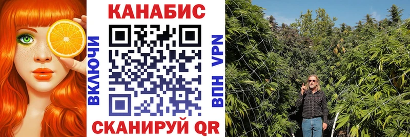 сколько стоит  Рыбинск  блэк спрут как зайти  Бошки марихуана семена 